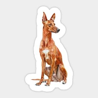 Cirneco DellEtna Sticker